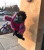 Filename=LSJBR0840.jpg
Filesize=327KiB
Dimensions=1080x1080
Date added=Apr 23, 2026 LSJBR0840.jpg